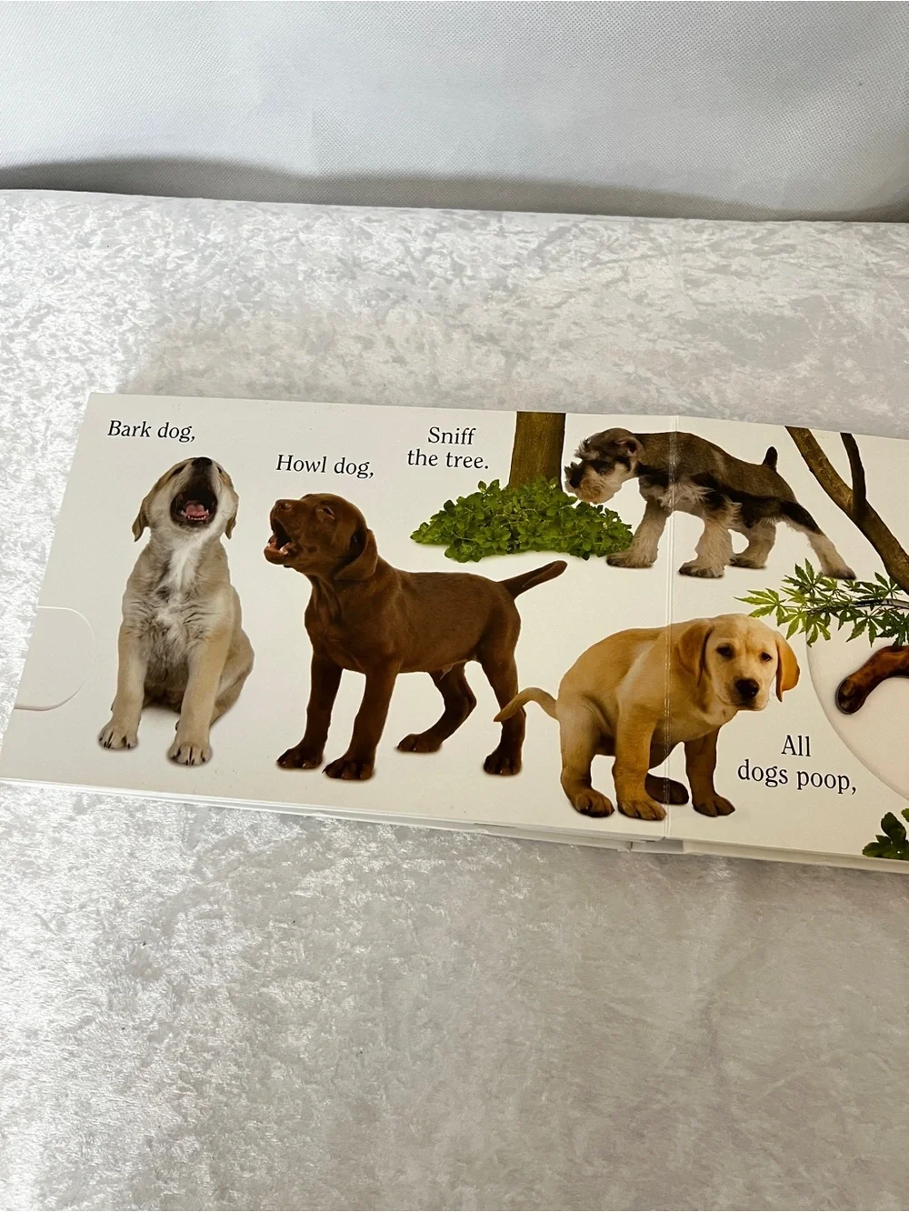 Dog Book by Matthew Van Fleet Doggone Fun for Little Ones kids